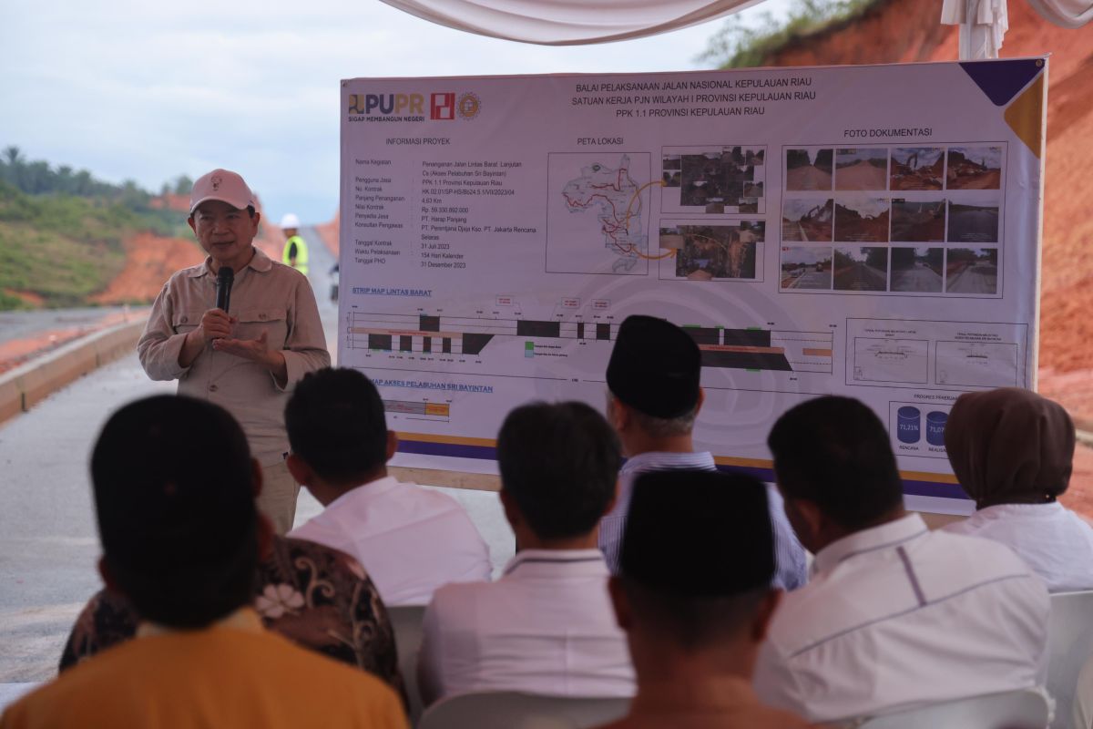 Menteri PPN tinjau proyek inpres penanganan jalan lintas barat Bintan