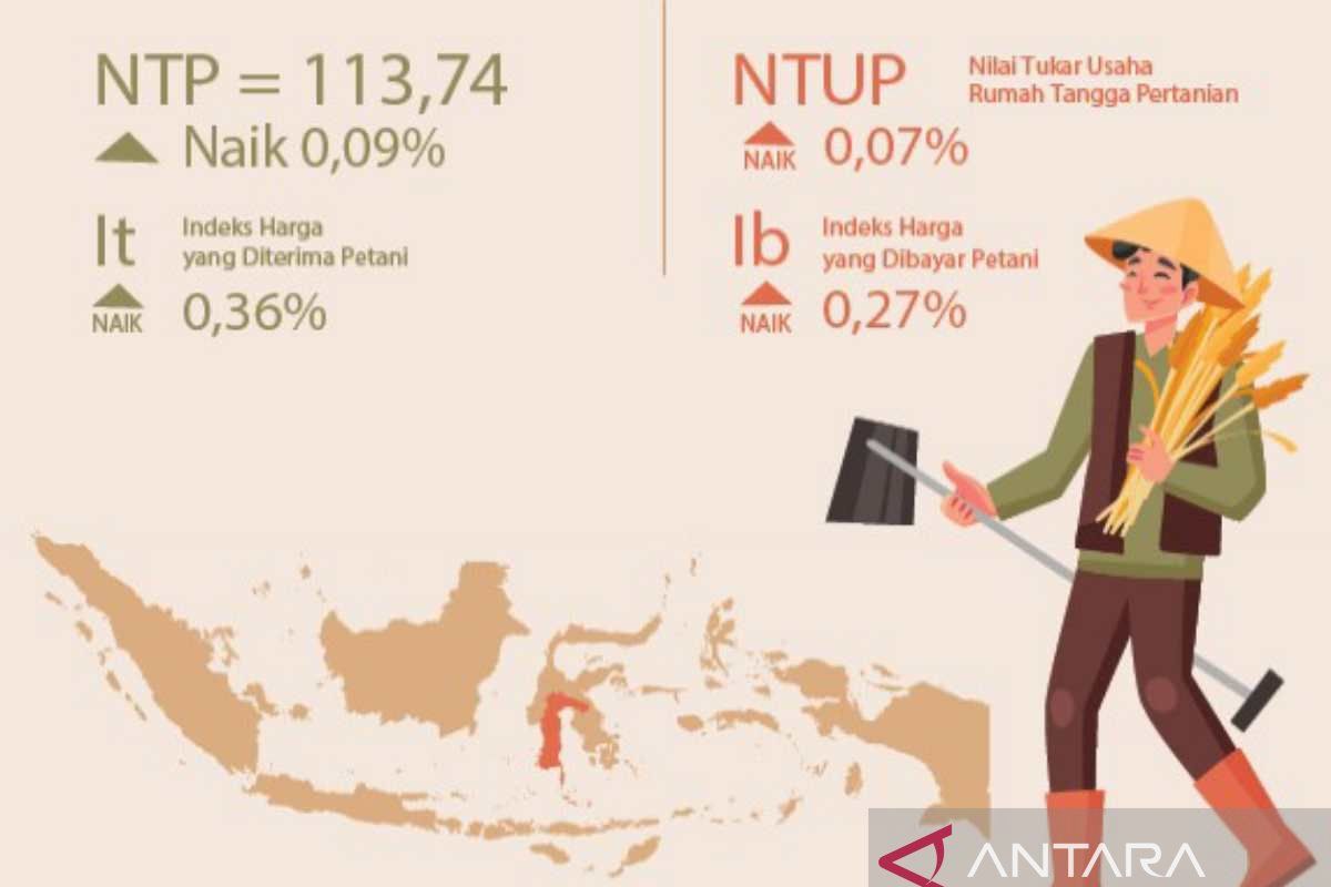 BPS: NTP  Sulsel naik 0,09 persen pada November 2023