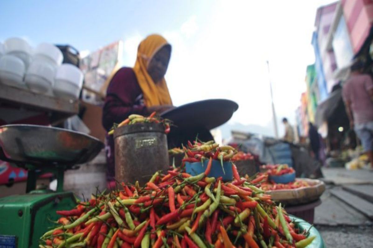 Disperindag Kota Palu: Lonjakan harga cabai rawit karena gangguan produksi