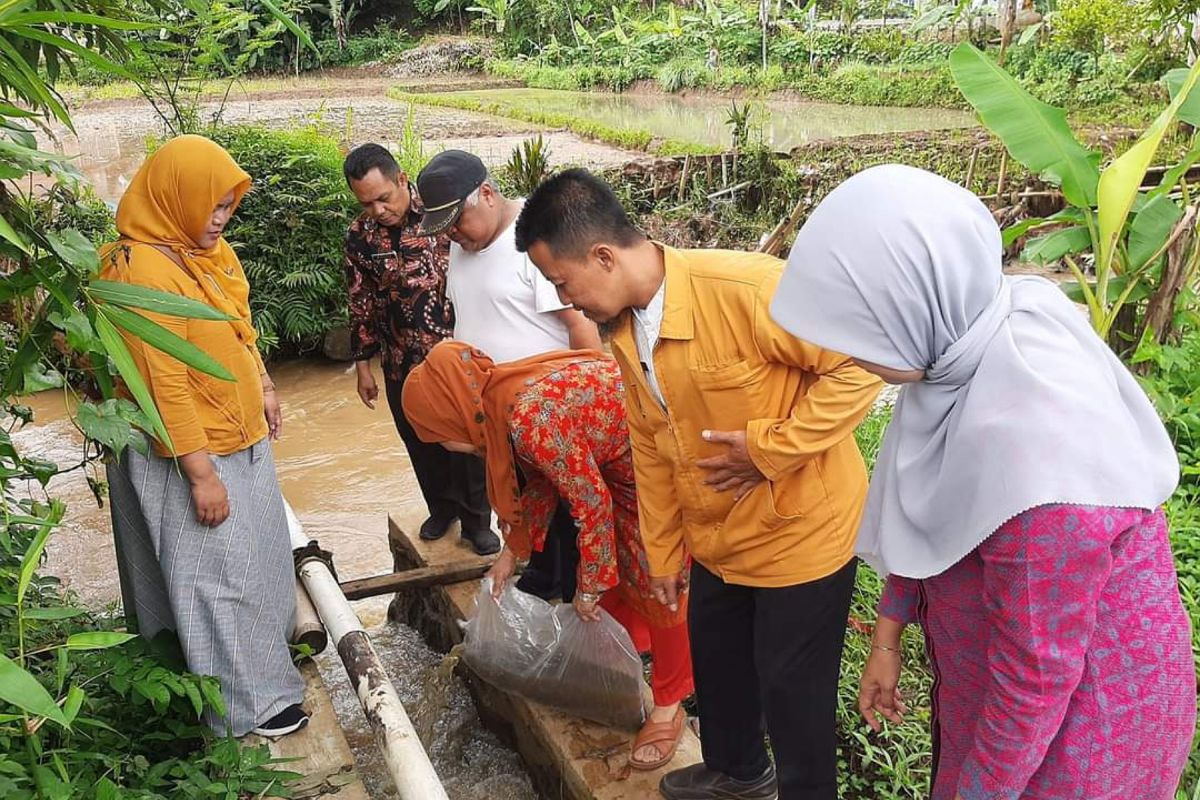 Diskan Sukabumi Jabar gencar lepasliarkan benih ikan lokal