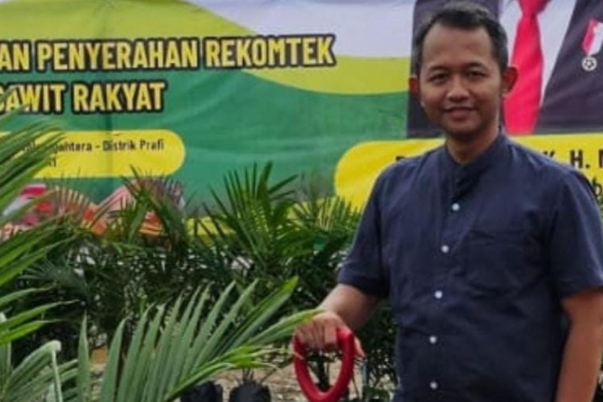 Ribuan petani siap ramaikan Pertemuan Nasional Petani Sawit