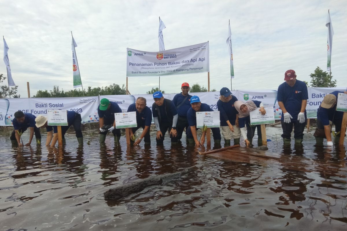 Petani Penajam mampu panen semangka 25 ton per hektare saat kemarau