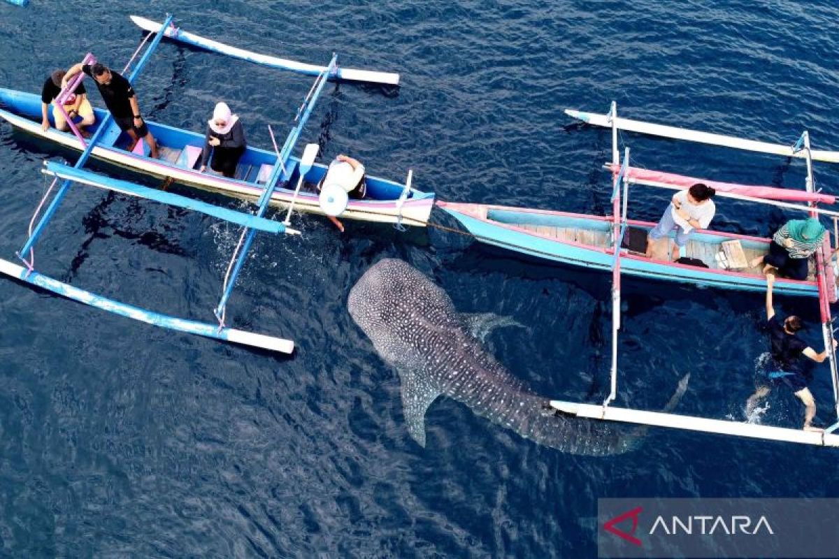 Indonesia bisa kembangkan wisata berbasis personal