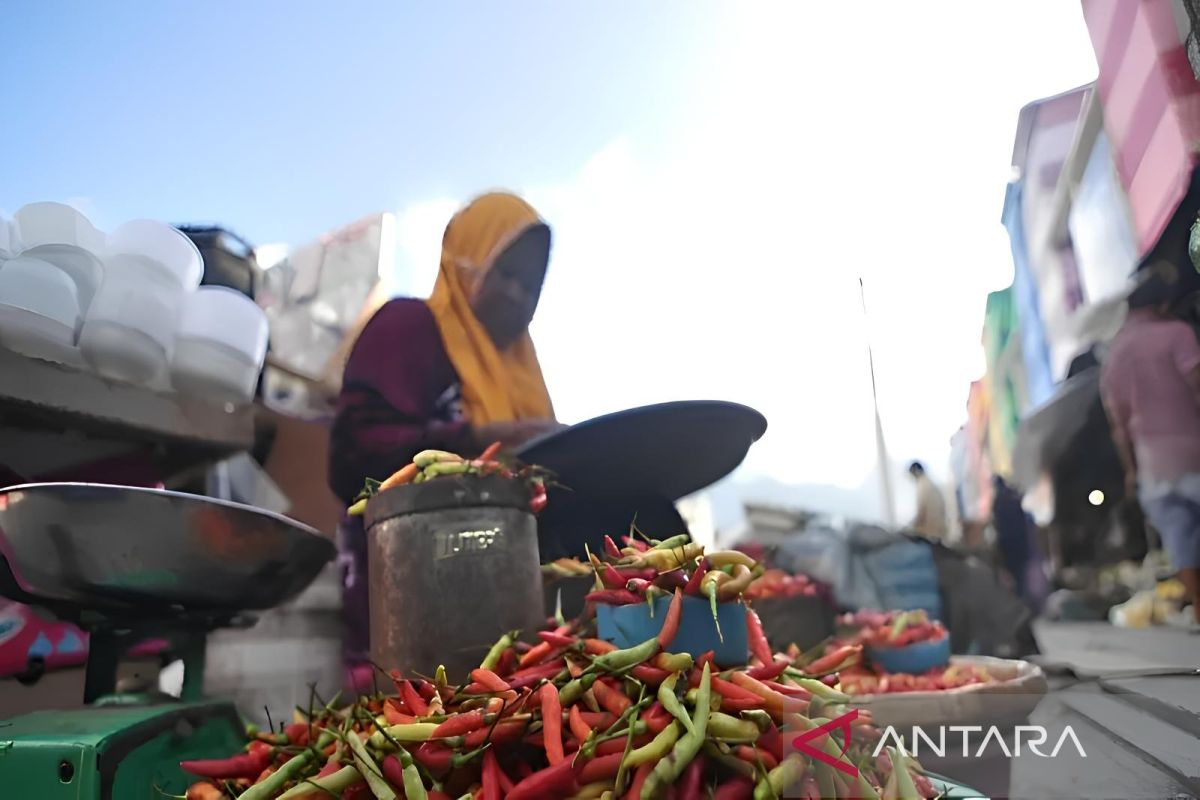 Disperindag Sulteng intensifkan pengawasan distribusi jaga ketersediaan cabai