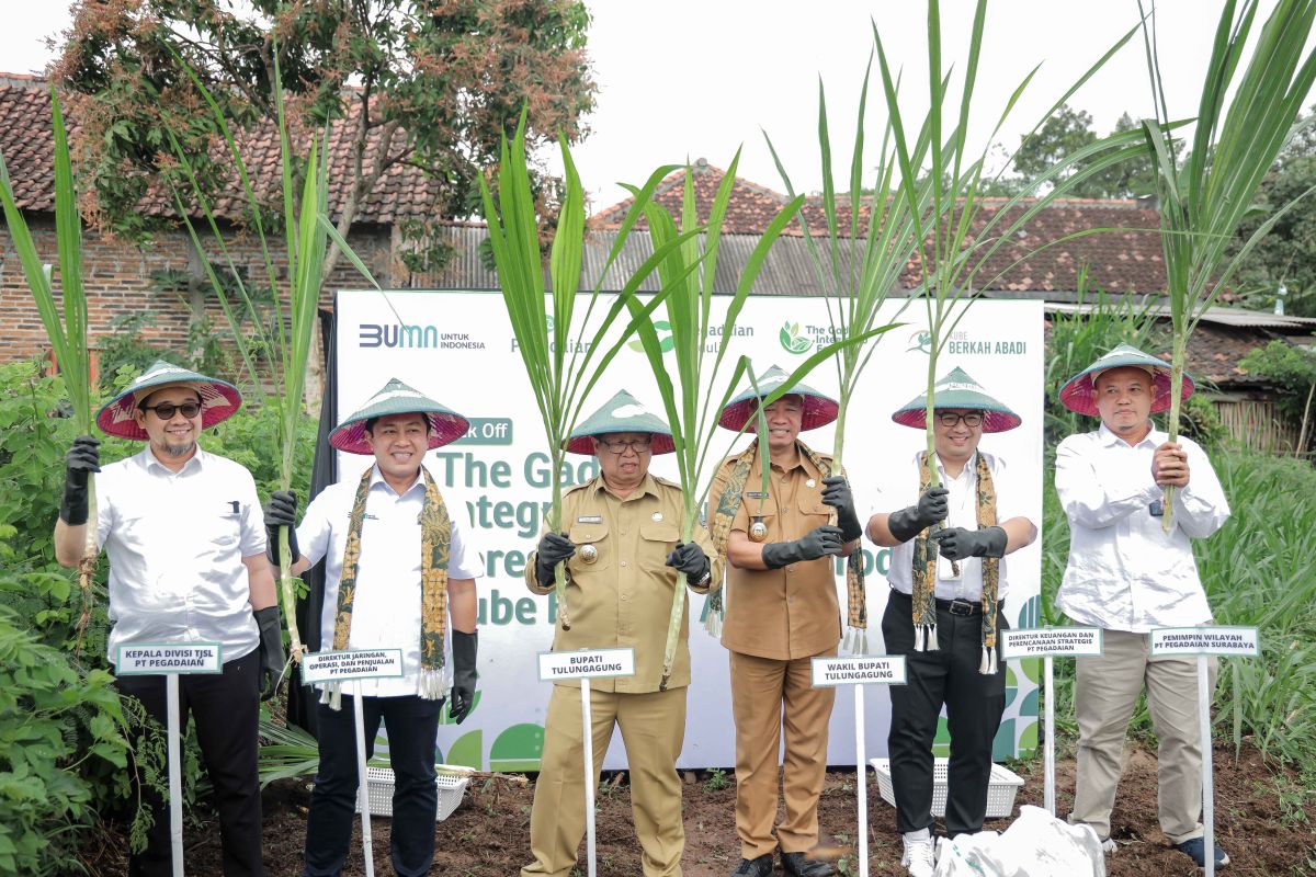 Pertanian terpadu PT Pegadaian representasikan  kondisi geografis