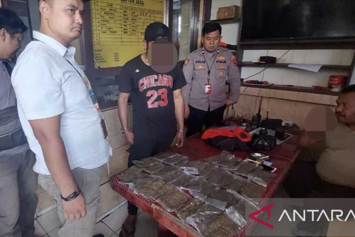 Polisi Jayapura amankan 36 bungkus ganja di Bandara Sentani