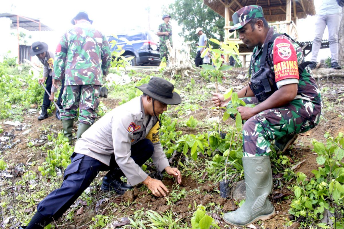 TNI mengajak warga tanam pohon di Bukit Pelet Lombok Tengah