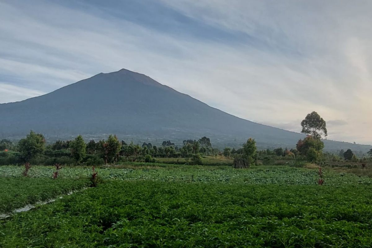 TNKS batasi pendakian Gunung Kerinci