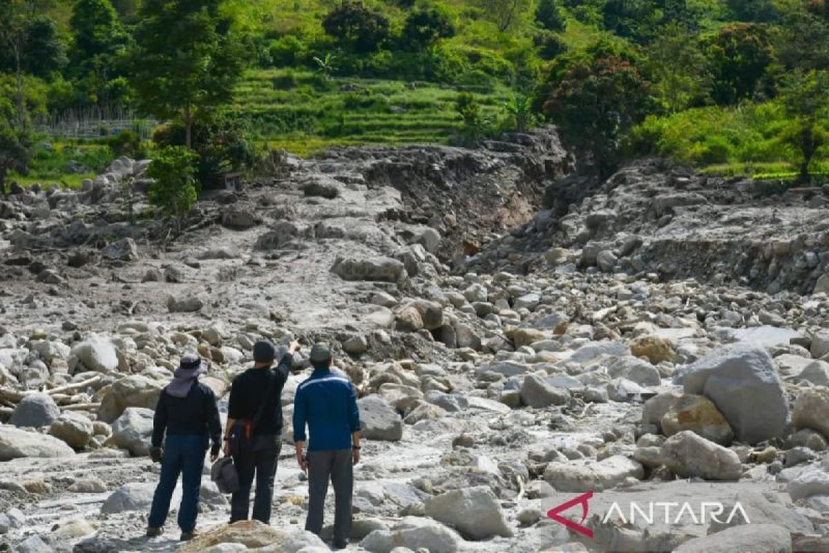 Penanaman bambu di Humbang Hasundutan sebagai pemulihan alam