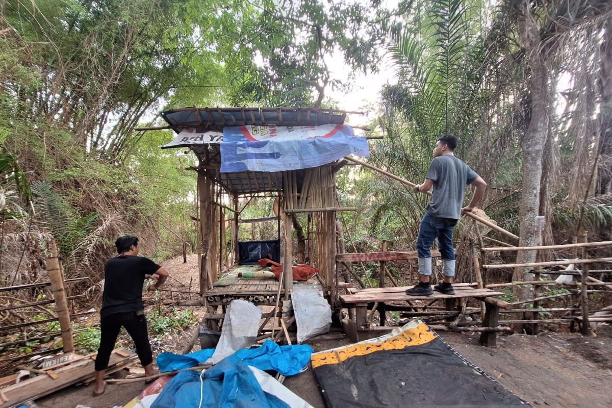 Diduga jadi tempat penyebaran atau pesta narkoba, polisi bongkar gubuk di tengah kebun sawit