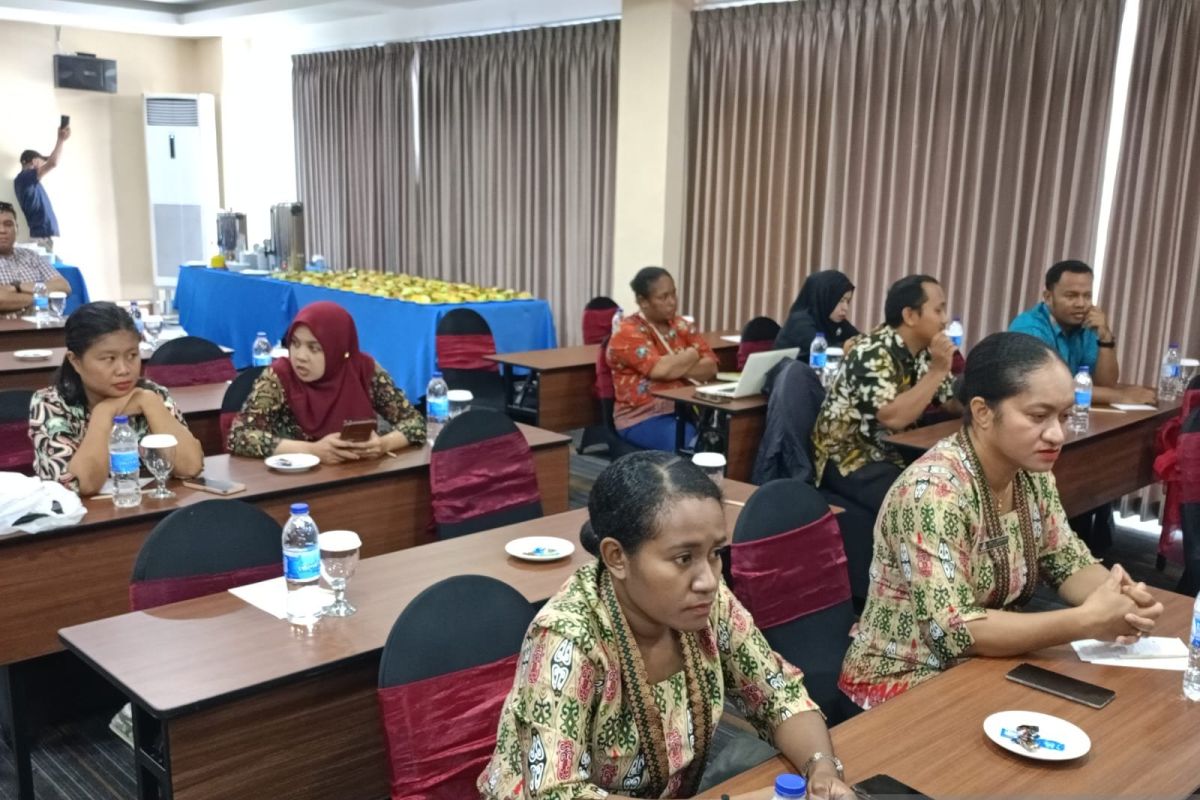 Dinkes Jayapura kembangkan sistem informasi kesehatan