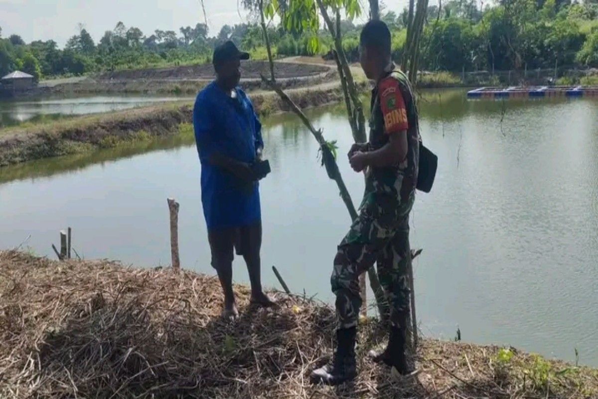 Koramil 1710-02/Timika belajar beternak ikan air tawar dengan warga