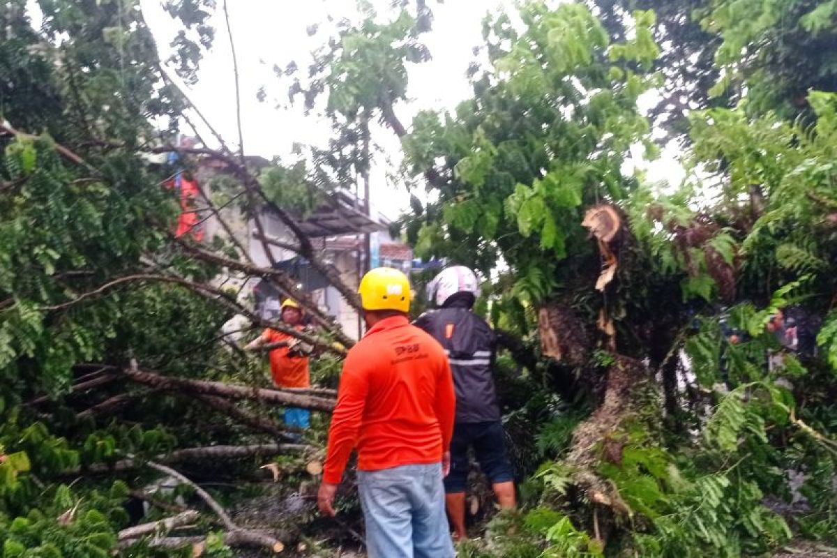 Info BMKG angin kencang berpotensi meliputi Cilegon dan Serang