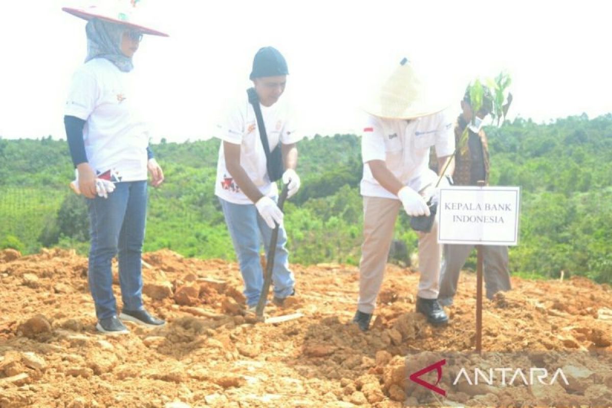 BI Kaltim bantu cetak kawasan ketahanan pangan di Ibu Kota Nusantara