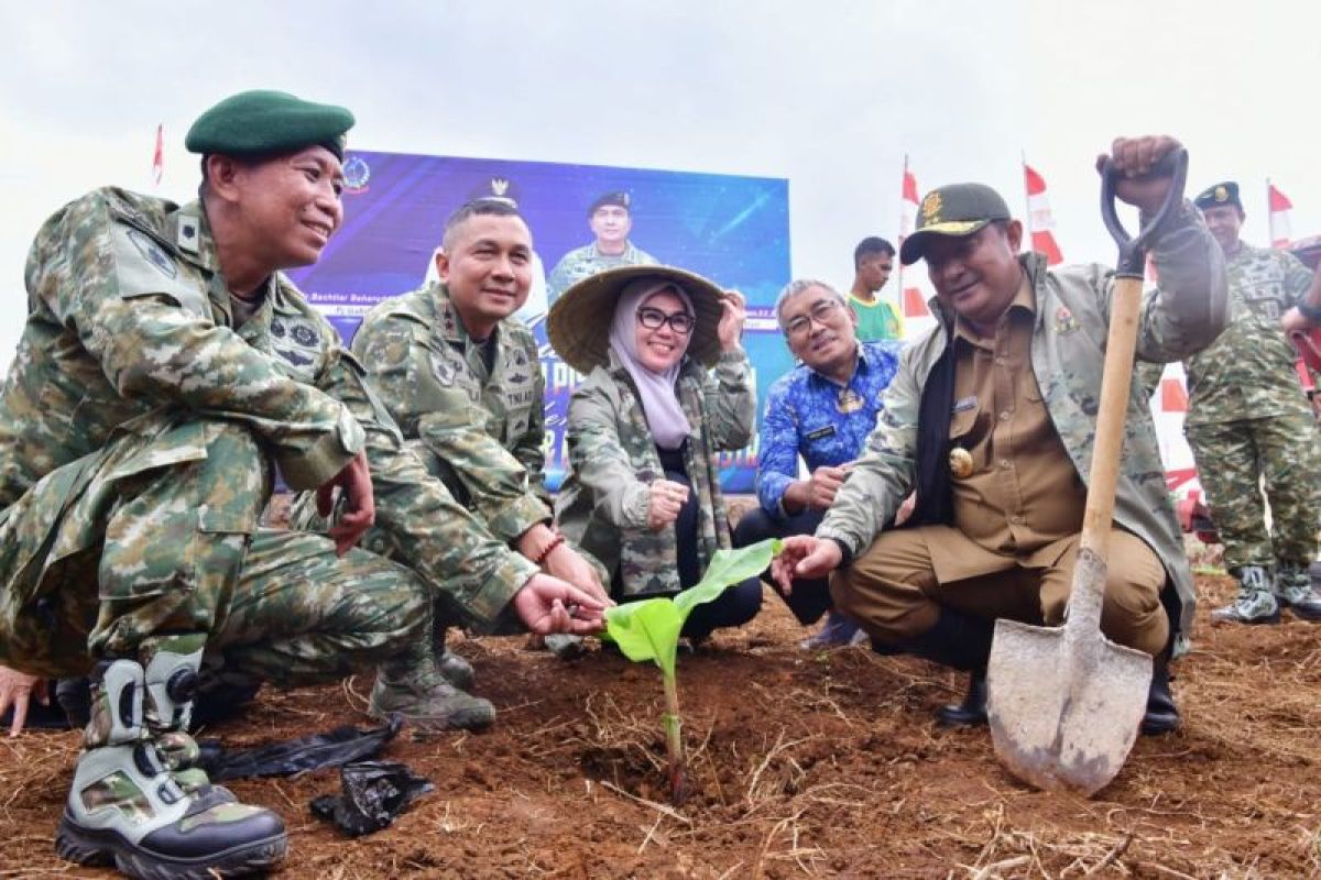 Kostrad siapkan 100 hektare budi daya pisang cavendish