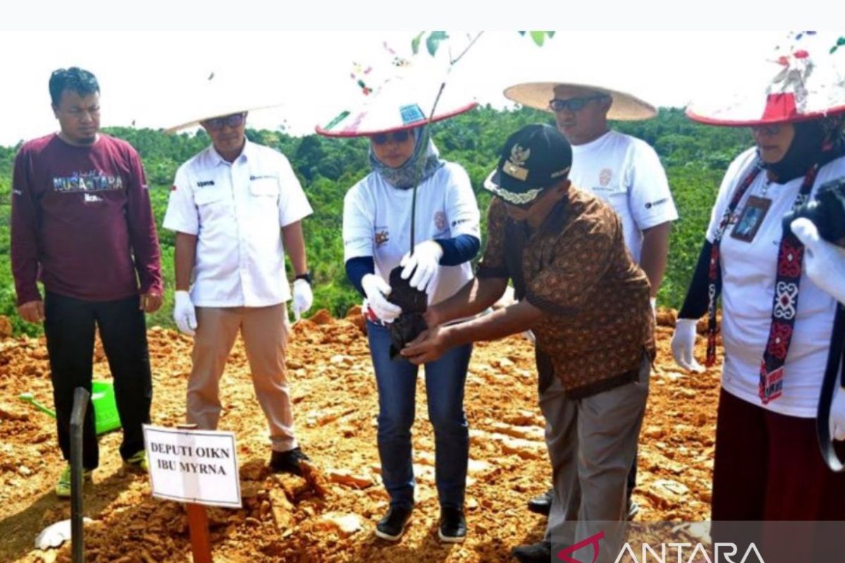 Otorita IKN gandeng Perum LKBN  ANTARA dan mitra kembalikan kejayaan buah lokal