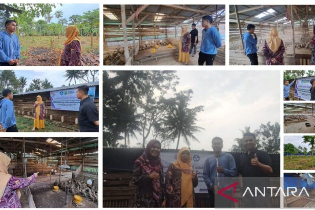 PkM Faterna Unand, Perbaikan Manajemen Pemeliharaan Itik Pedaging Dan Petelur Di Peternakan Go Farm Kabupaten Lima Puluh Kota