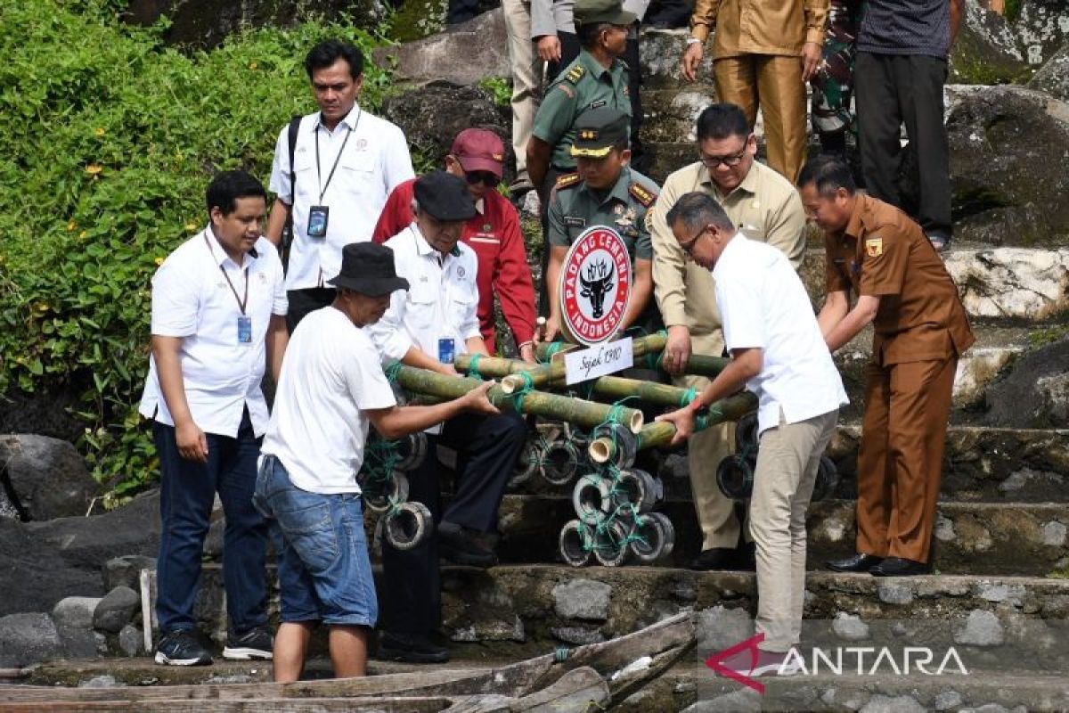 Semen Padang sebar 3000 ikan bilih hasil konservasi di Danau Singkarak