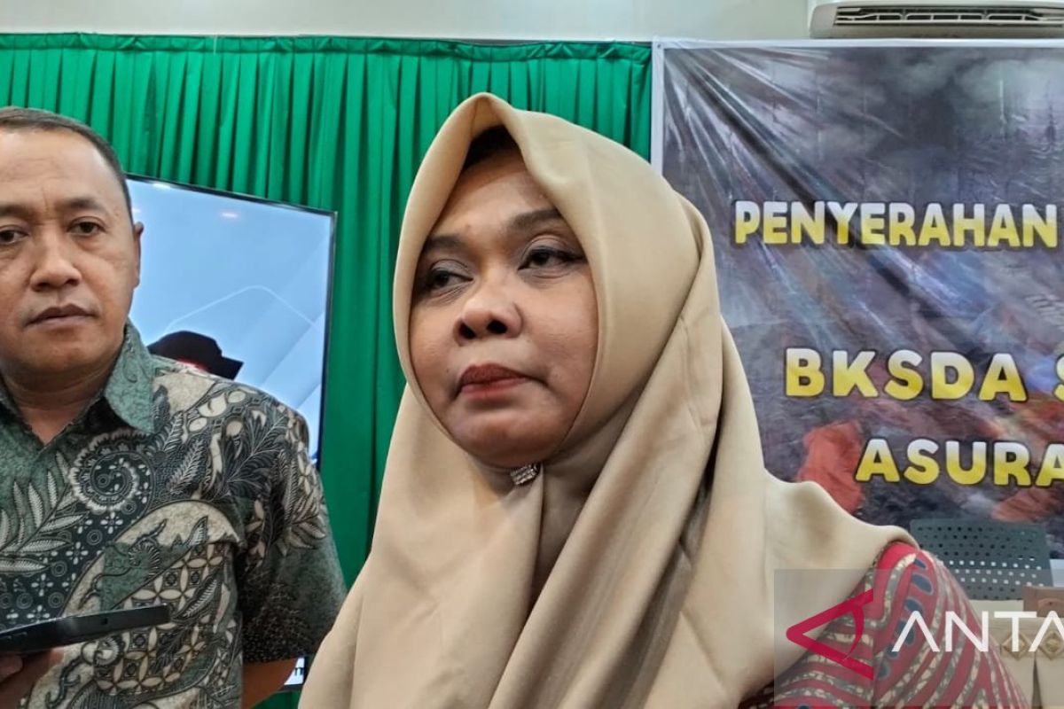 BKSDA tutup aktivitas pendakian empat gunung pascaerupsi Marapi