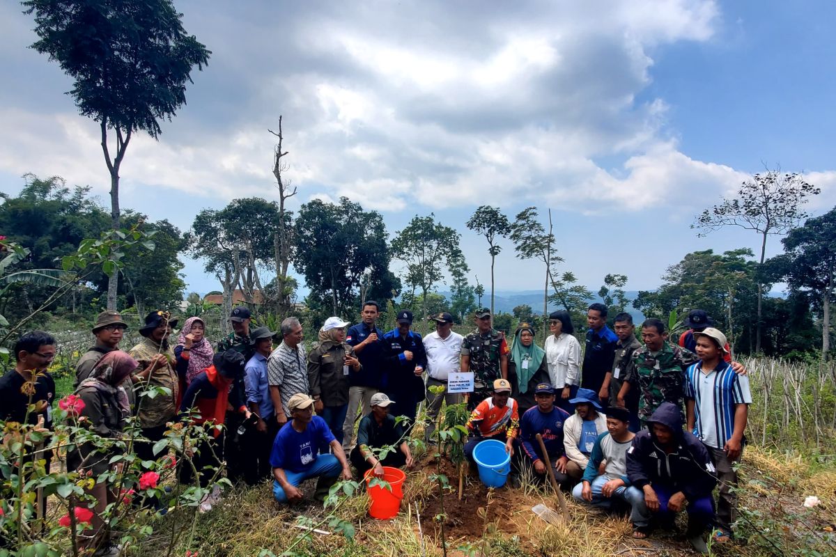 Jasa Tirta I bersama  PLN Indonesia Power hijaukan Rawa Pening