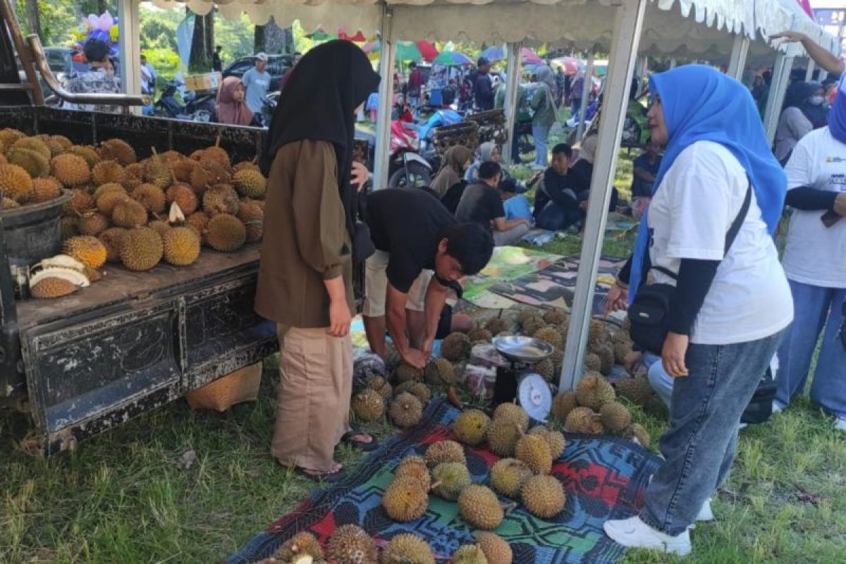 Promosikan desa wisata, Festival durian digelar di Lombok Tengah