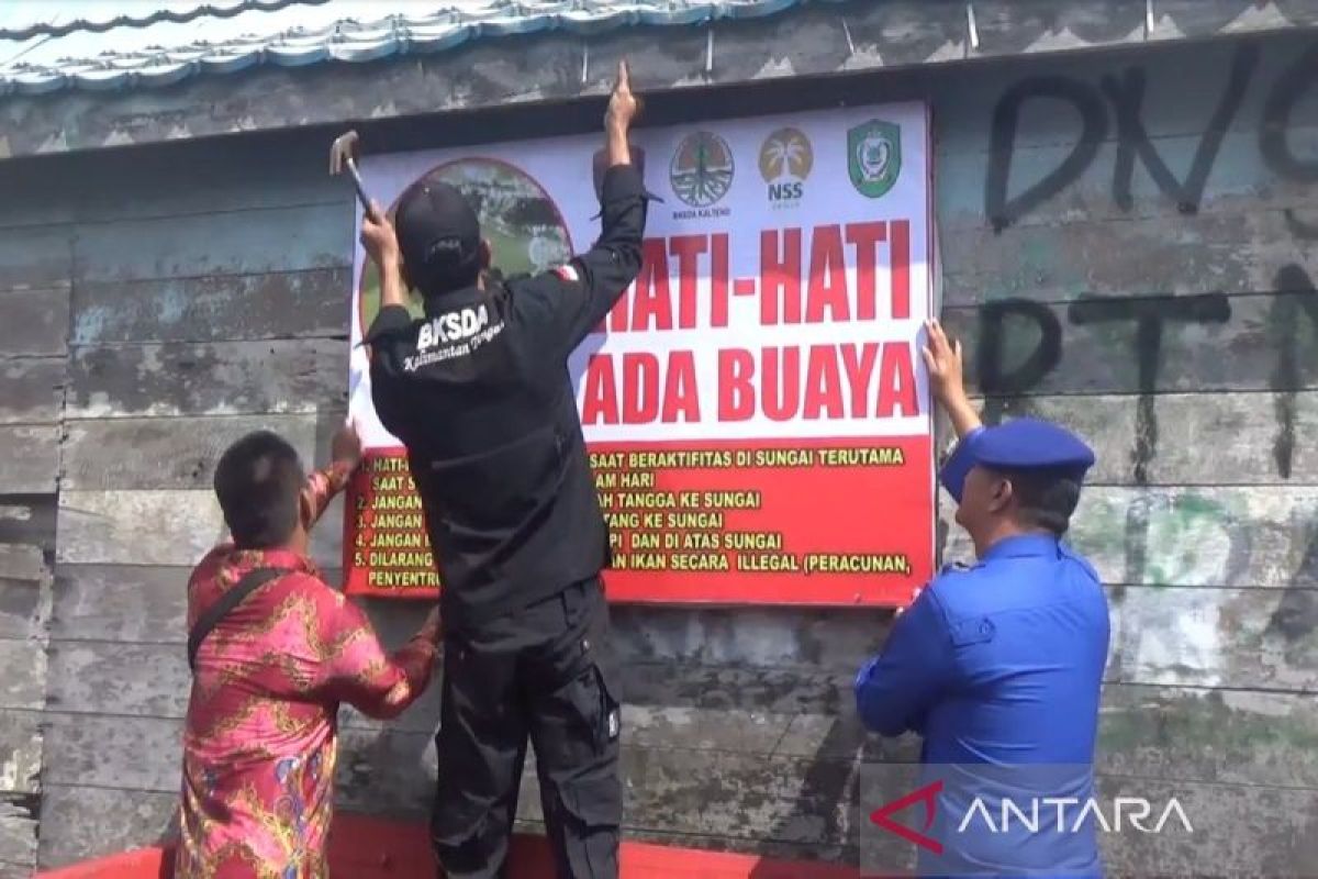 Buaya sering muncul di Sungai Mentaya, BKSDA ingatkan warga tingkatkan kewaspadaan