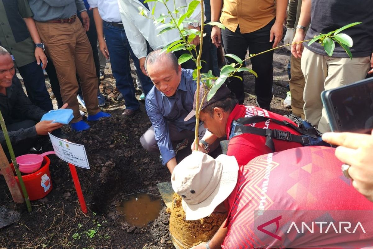 Kalbar ajak masyarakat tanam pohon bernilai ekonomis