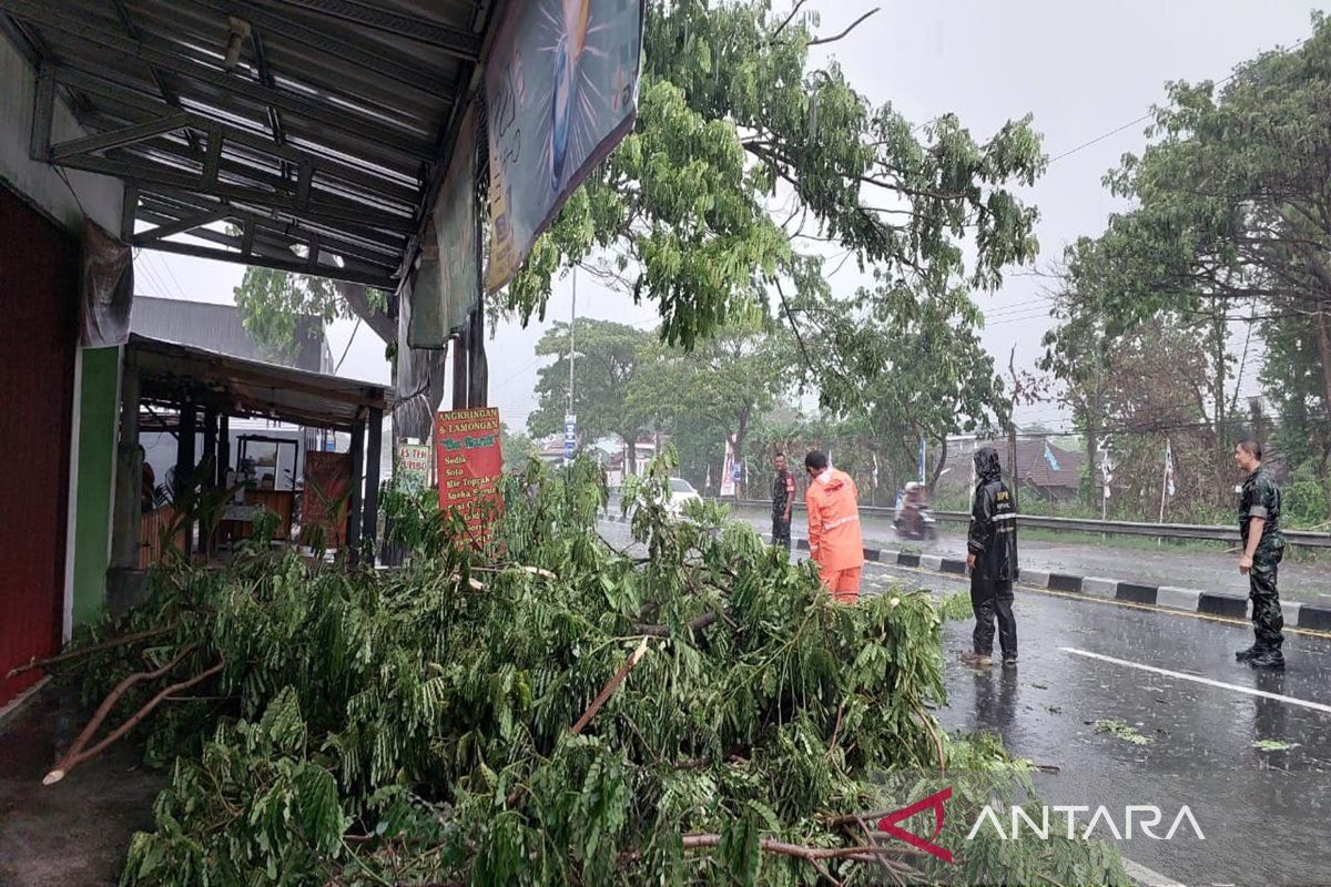 Boyolali dilanda hujan disertai angin kencang