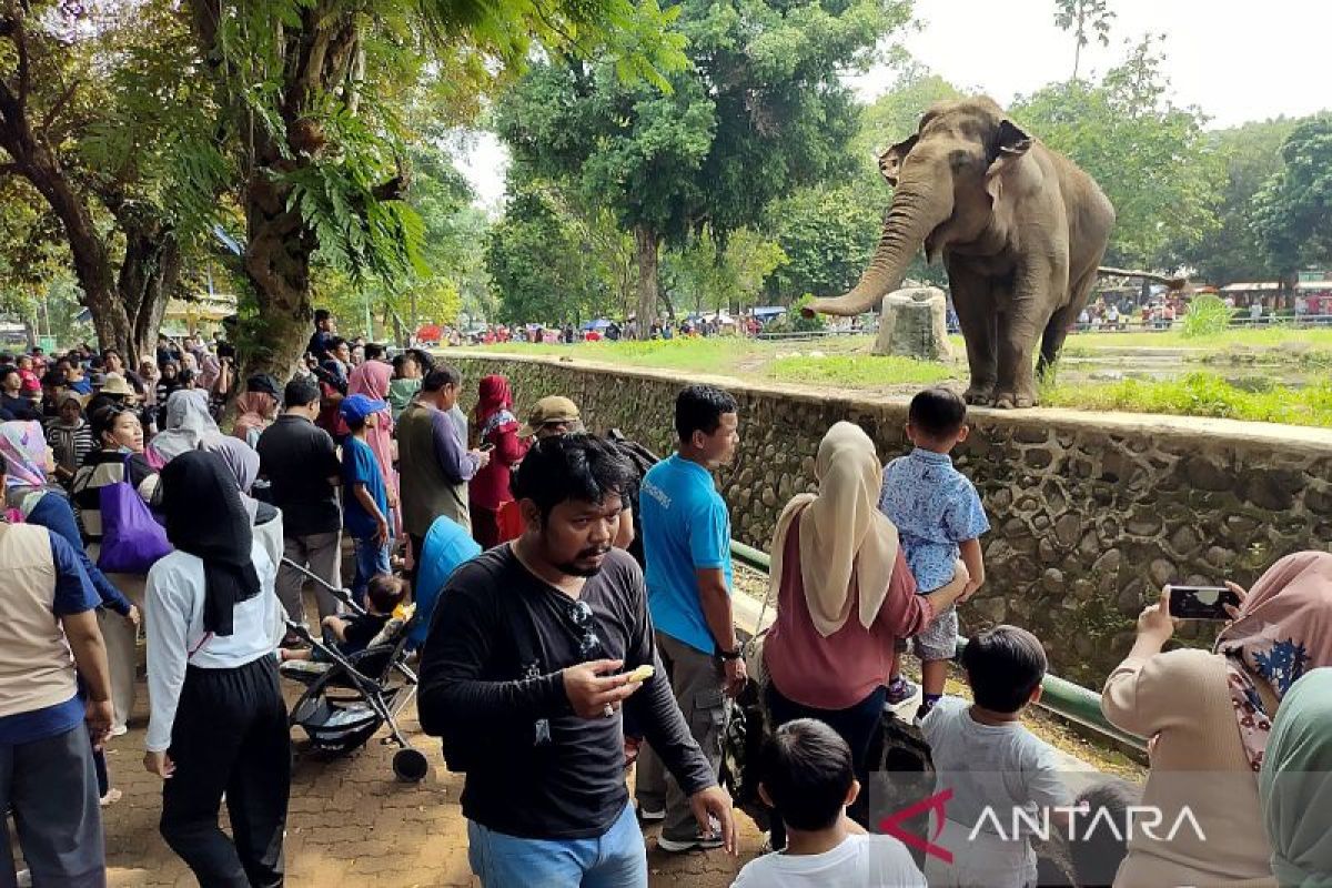 Mari mengenal lebih dekat pusat konservasi satwa Ragunan