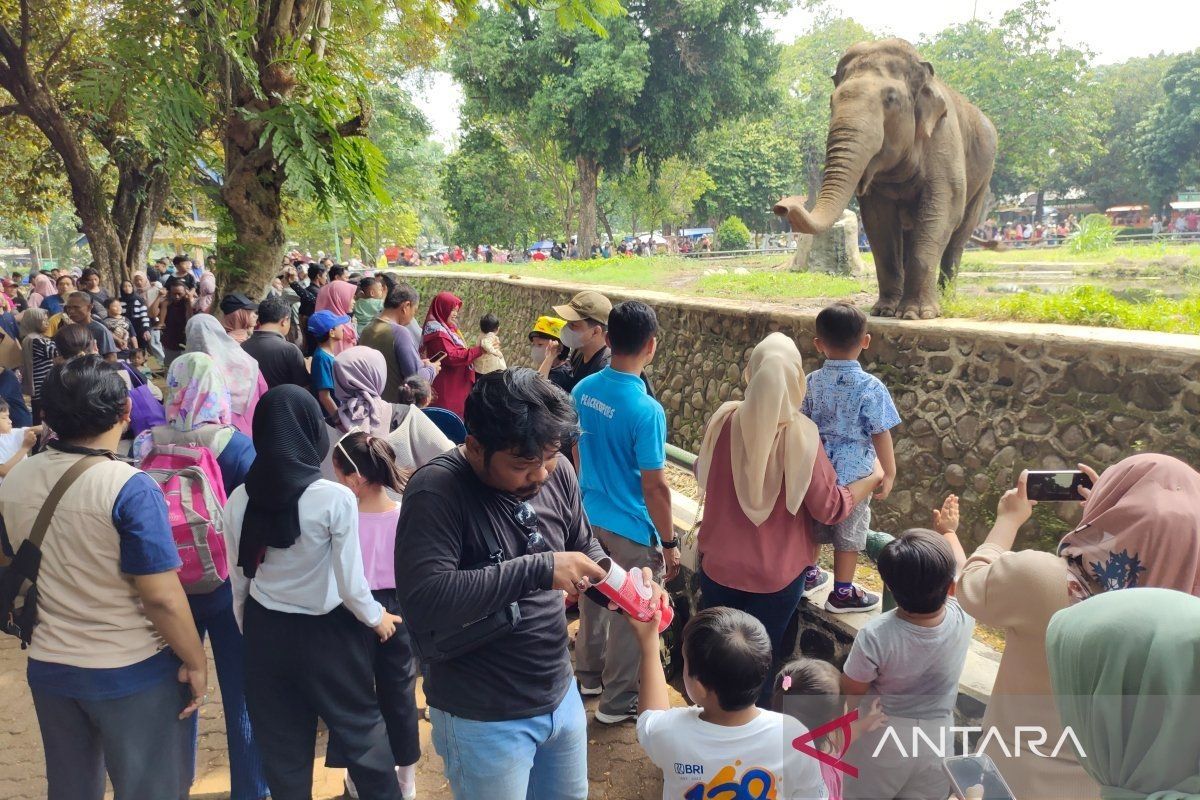 Mengenal lebih dekat pusat konservasi satwa di Taman Margasatwa Ragunan