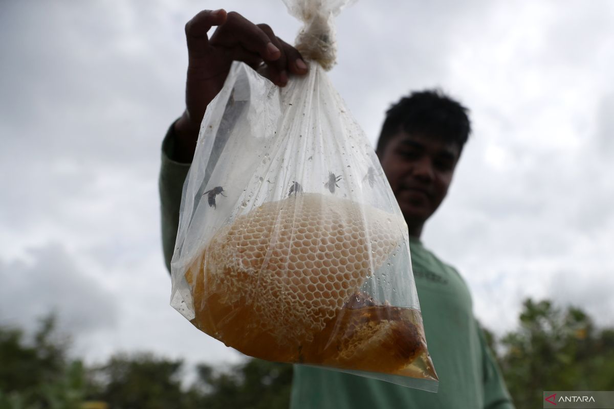 Cara memastikan keaslian produk madu