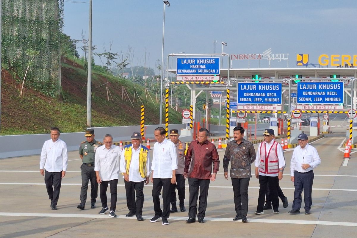 Government to Continue 42 Unfinished PSNs After 2024: Jokowi - British