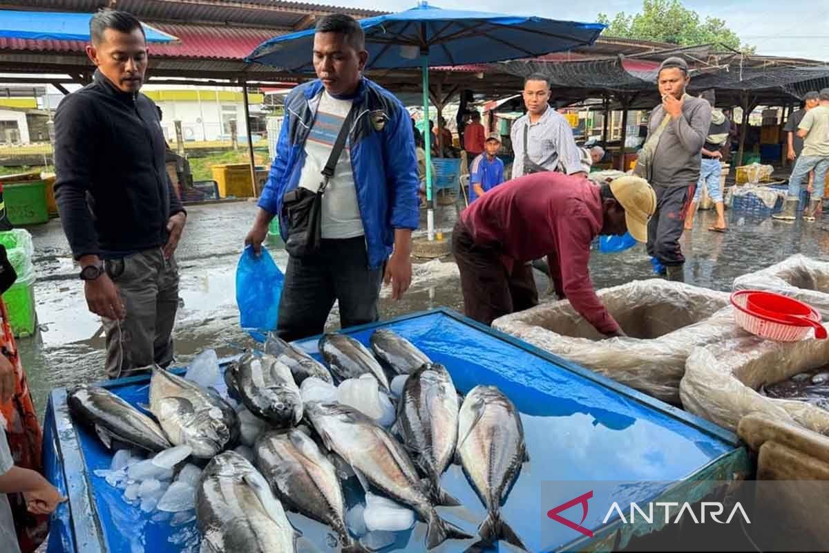 Produksi ikan laut di Aceh Timur tahun 2023 mencapai 11,28 ribu ton