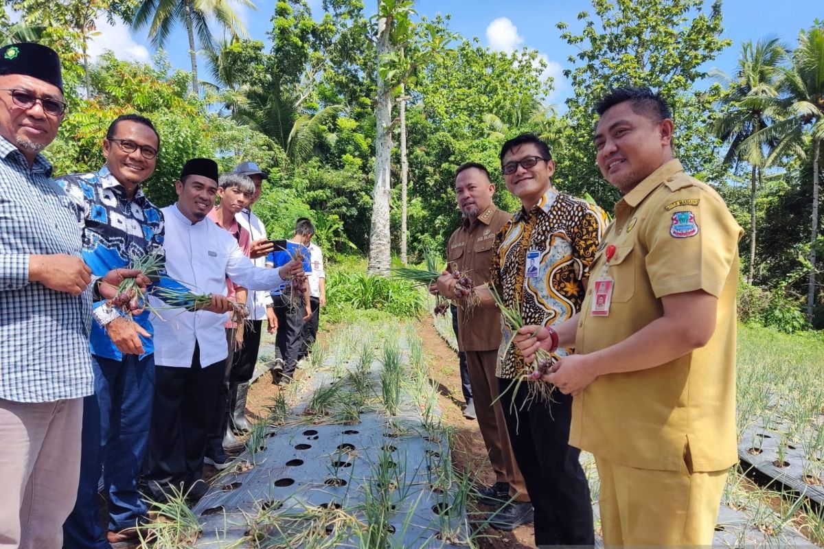 BI dan Pemkot Manado panen bawang merah penuhi kebutuhan Sulut