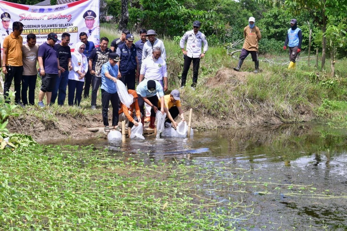 Pj Gubernur Sulsel tebar 20 ribu bibit Ikan Nila di desa Mario Bone