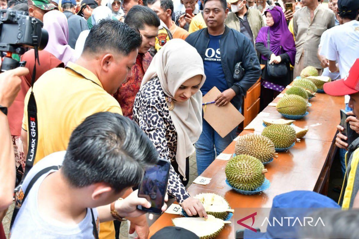 Pemkab Pekalongan siapkan Rp2,5 M bangun infrastruktur ke petani durian