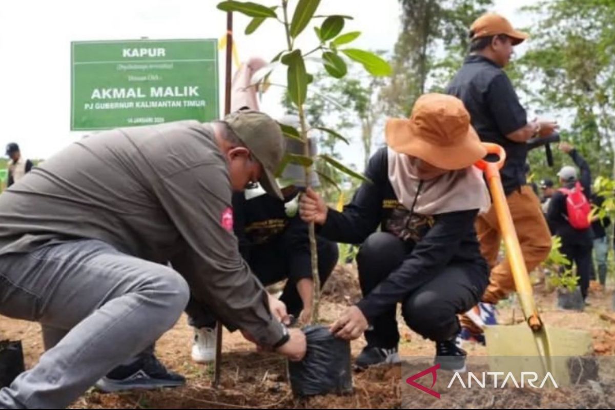 65 persen wilayah IKN untuk kawasan lindung