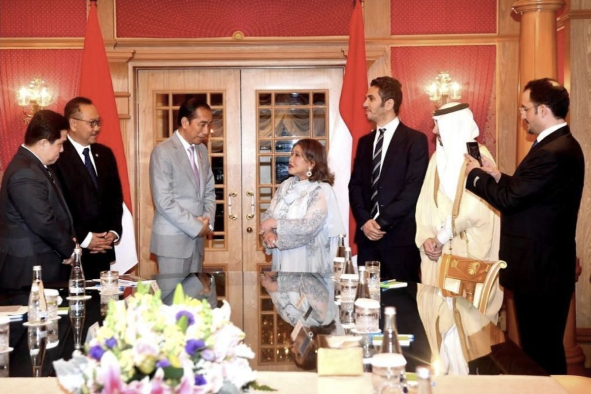 Presiden Jokowi paparkan peluang investasi IKN ke pengusaha Brunei