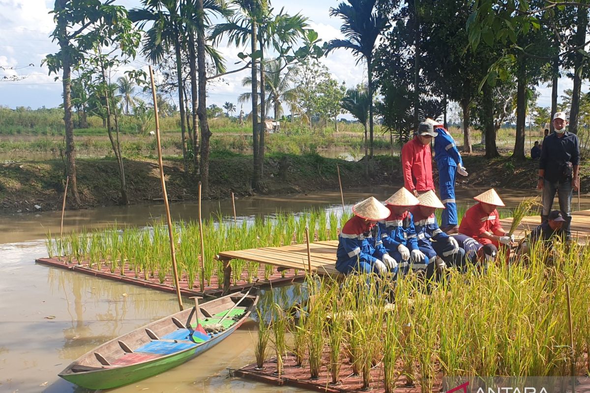 Pemkot Palembang tanam pohon di kawasan wisata Taman Purbakala