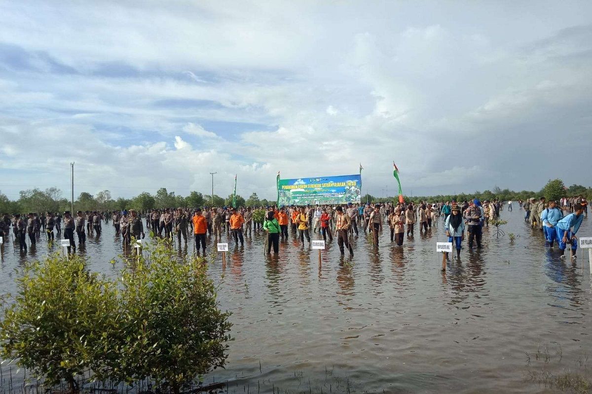 TNI tanam 4.000 bibit pohon di Bengkulu jaga bumi dari perubahan iklim