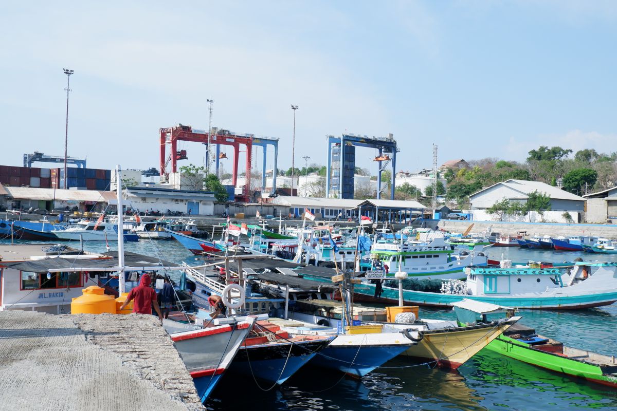 BMKG ingatkan masyarakat NTT waspadai gelombang tinggi