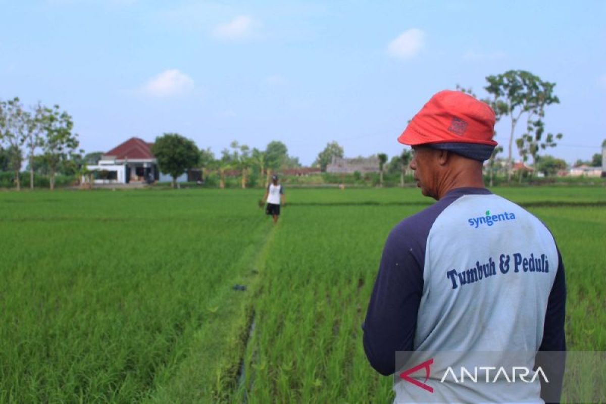 Kelompok Tani "Ngudi Mekar" menatap 2024 penuh optimisme