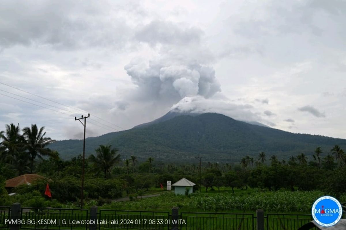 PVMBG minta warga tidak beraktivitas di sekitar Gunung Lewotobi Laki-laki