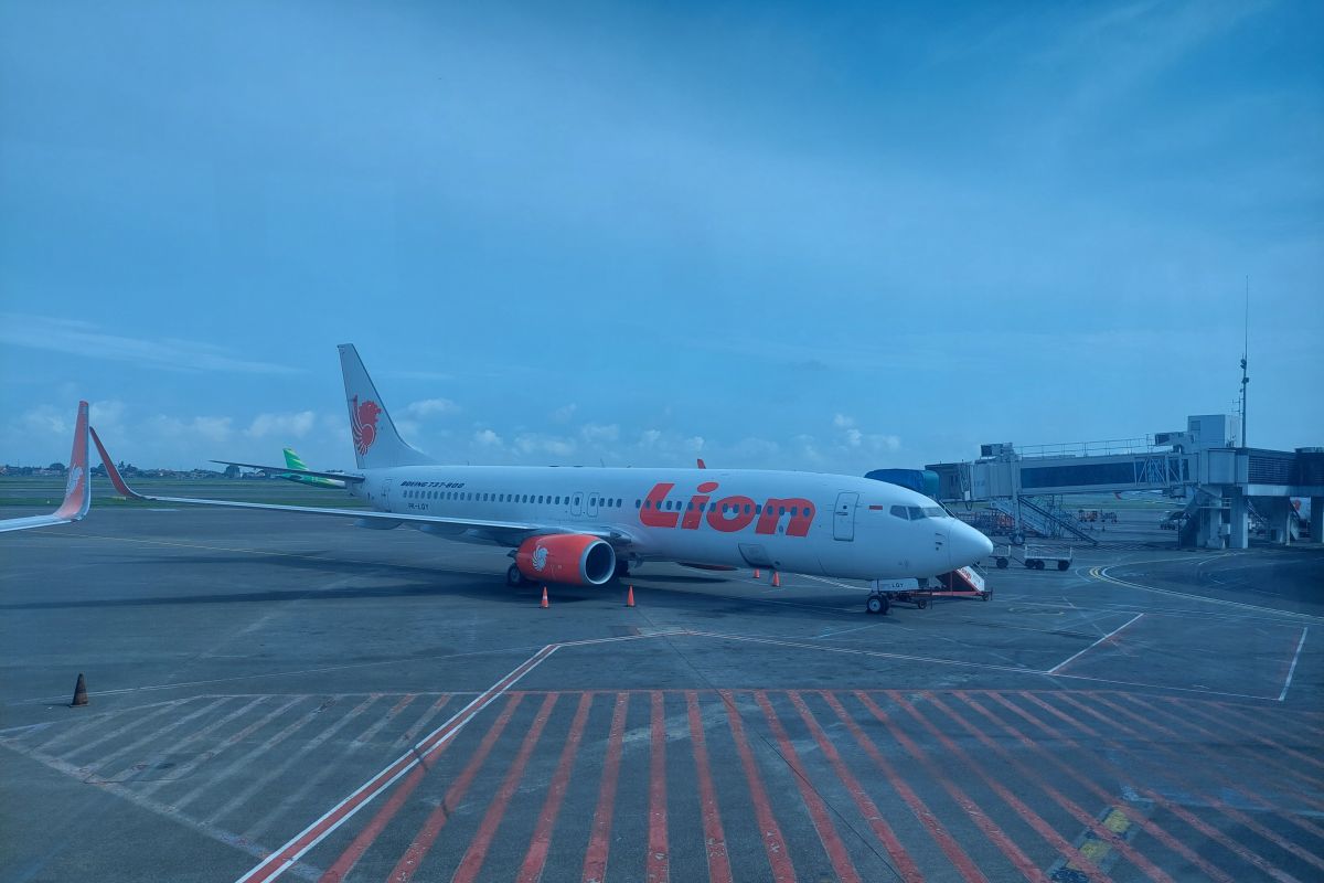 Kemenhub izinkan beroperasi tiga pesawat Boeing 737-9 Max Lion Air