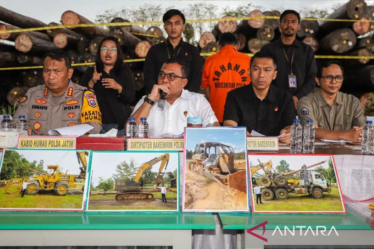 inp-seize-1259-illegally-harvested-logs-in-kalimantan