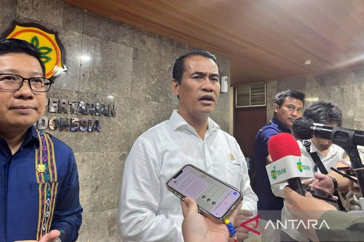 Mentan: Ada tambahan 7,2 juta ton pupuk dan benih di 2 juta hektare