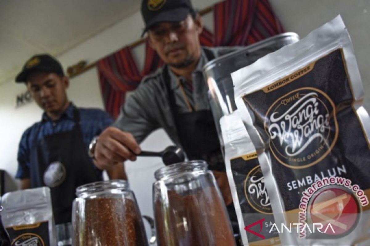 Produksi kopi NTB mencapai 6.384 ton setahun