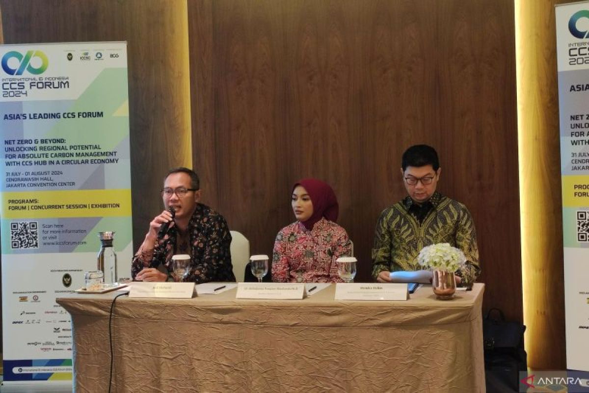 "Carbon capture storage" buka peluang investasi di Indonesia saat transisi energi