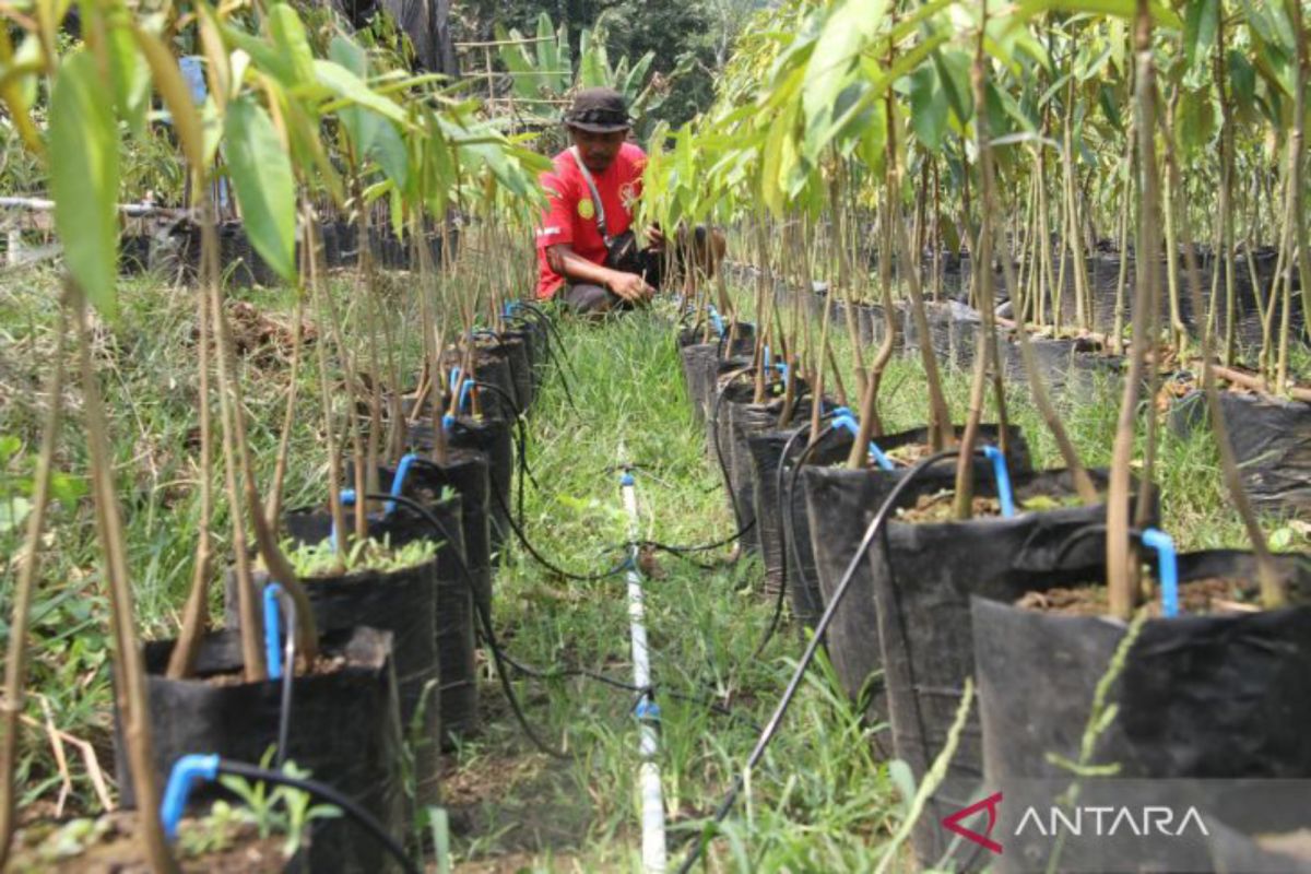 Pengamat UGM sebut "smart farming" bakal tarik minat pemuda bertani