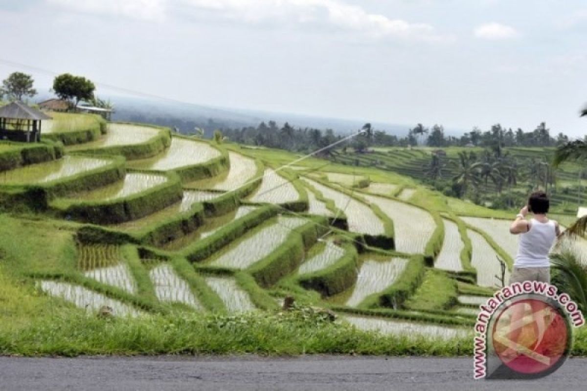 UNESCO lestarikan subak di Bali warisan budaya